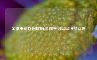 金镶玉可以回收吗,金镶玉可以以旧换新吗