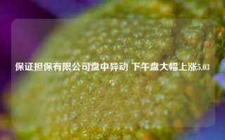 保证担保有限公司盘中异动 下午盘大幅上涨5.03%