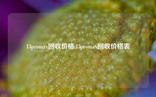 13promax回收价格,13promax回收价格表