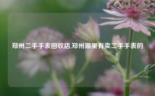 郑州二手手表回收店,郑州哪里有卖二手手表的