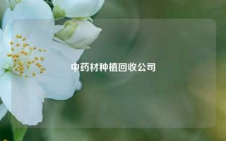 中药材种植回收公司