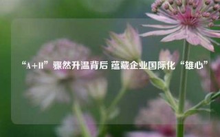 “A+H”骤然升温背后 蕴藏企业国际化“雄心”