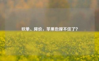 砍单、降价，苹果也撑不住了？