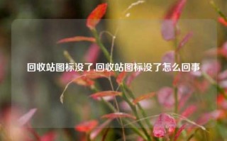 回收站图标没了,回收站图标没了怎么回事