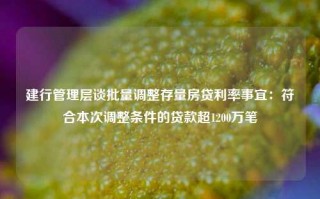 建行管理层谈批量调整存量房贷利率事宜：符合本次调整条件的贷款超1200万笔