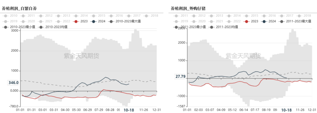 云评论 | 玉米：一点寒芒先到-第7张图片-华粤回收