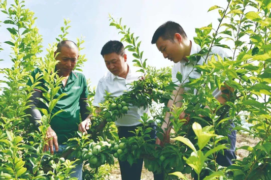 全力推动！工商银行推进支持小微企业融资协调工作机制落地-第4张图片-华粤回收