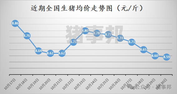 10月30日猪价汇总（北方稍强，南方稍弱！）-第3张图片-华粤回收