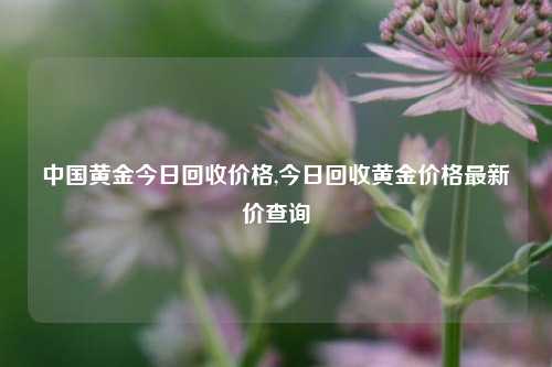 中国黄金今日回收价格,今日回收黄金价格最新价查询-第1张图片-华粤回收