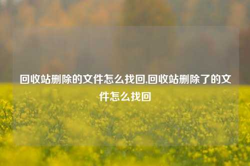 回收站删除的文件怎么找回,回收站删除了的文件怎么找回-第1张图片-华粤回收