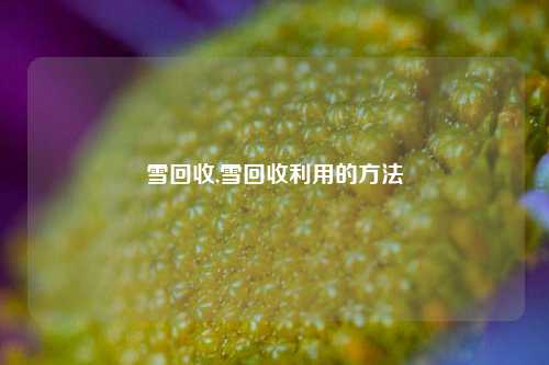 雪回收,雪回收利用的方法-第1张图片-华粤回收