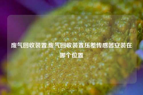 废气回收装置,废气回收装置压差传感器安装在哪个位置-第1张图片-华粤回收