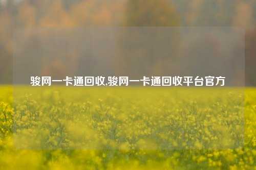 骏网一卡通回收,骏网一卡通回收平台官方-第1张图片-华粤回收