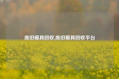 废旧模具回收,废旧模具回收平台-第1张图片-华粤回收