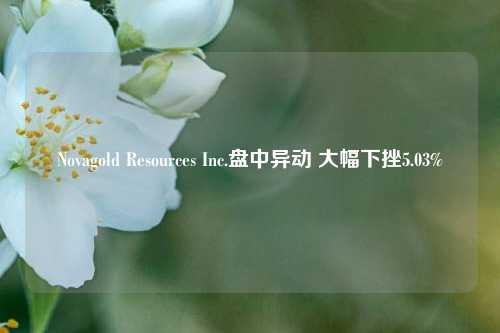 Novagold Resources Inc.盘中异动 大幅下挫5.03%-第1张图片-华粤回收