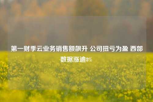 第一财季云业务销售额飙升 公司扭亏为盈 西部数据涨逾8%-第1张图片-华粤回收