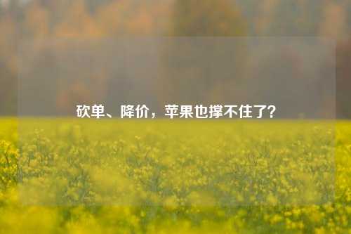 砍单、降价，苹果也撑不住了？-第1张图片-华粤回收