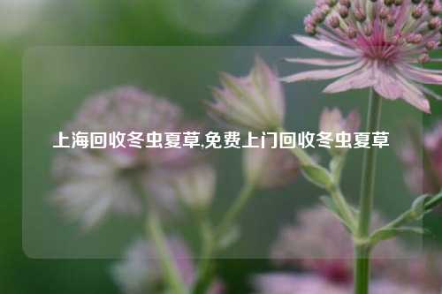 上海回收冬虫夏草,免费上门回收冬虫夏草-第1张图片-华粤回收