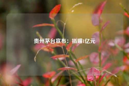 贵州茅台宣布：捐赠1亿元-第1张图片-华粤回收