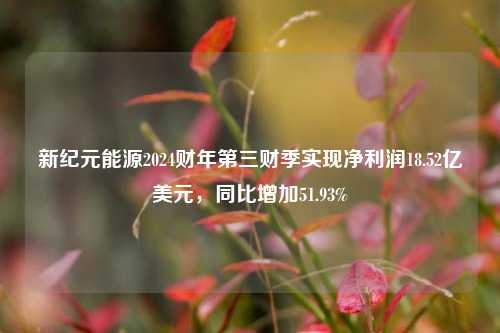 新纪元能源2024财年第三财季实现净利润18.52亿美元，同比增加51.93%-第1张图片-华粤回收