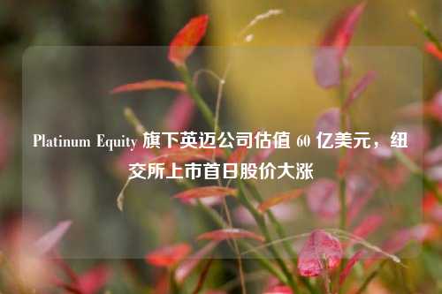 Platinum Equity 旗下英迈公司估值 60 亿美元，纽交所上市首日股价大涨-第1张图片-华粤回收