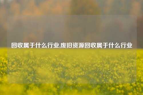 回收属于什么行业,废旧资源回收属于什么行业-第1张图片-华粤回收