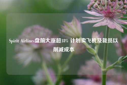 Spirit Airlines盘前大涨超18% 计划卖飞机及裁员以削减成本-第1张图片-华粤回收