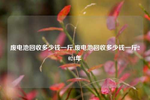 废电池回收多少钱一斤,废电池回收多少钱一斤2024年-第1张图片-华粤回收