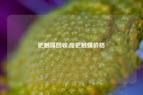 钯触媒回收,废钯触媒价格-第1张图片-华粤回收