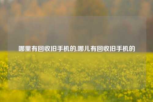 哪里有回收旧手机的,哪儿有回收旧手机的-第1张图片-华粤回收