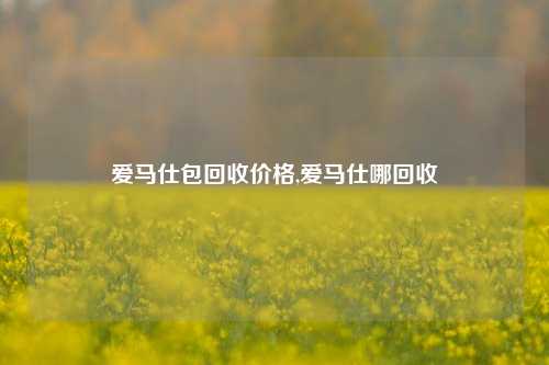 爱马仕包回收价格,爱马仕哪回收-第1张图片-华粤回收