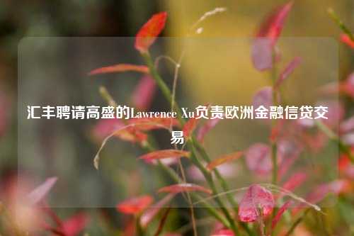 汇丰聘请高盛的Lawrence Xu负责欧洲金融信贷交易-第1张图片-华粤回收