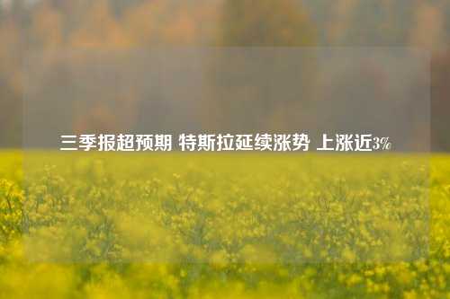 三季报超预期 特斯拉延续涨势 上涨近3%-第1张图片-华粤回收