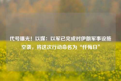 代号曝光！以媒：以军已完成对伊朗军事设施空袭，将这次行动命名为“忏悔日”-第1张图片-华粤回收