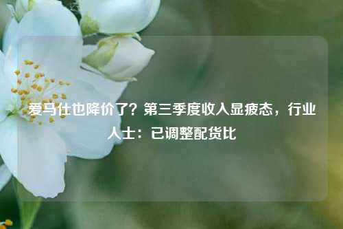 爱马仕也降价了？第三季度收入显疲态，行业人士：已调整配货比-第1张图片-华粤回收