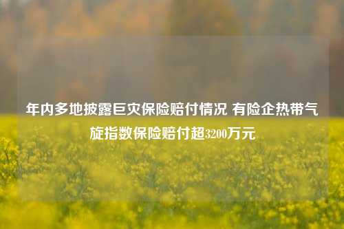 年内多地披露巨灾保险赔付情况 有险企热带气旋指数保险赔付超3200万元-第1张图片-华粤回收