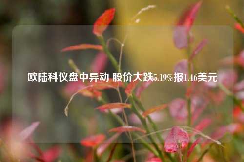 欧陆科仪盘中异动 股价大跌5.19%报1.46美元-第1张图片-华粤回收