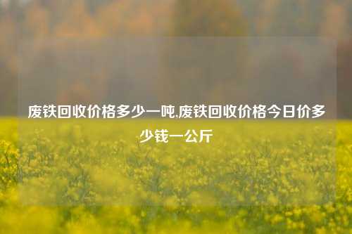 废铁回收价格多少一吨,废铁回收价格今日价多少钱一公斤-第1张图片-华粤回收