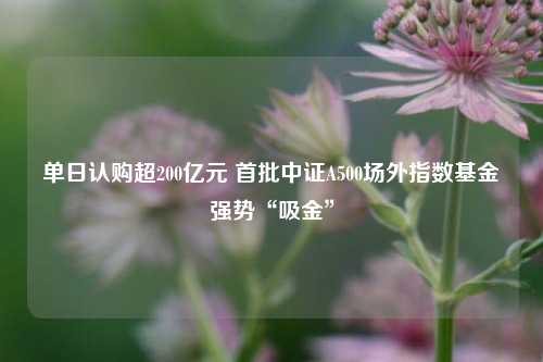 单日认购超200亿元 首批中证A500场外指数基金强势“吸金”-第1张图片-华粤回收