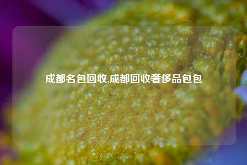 成都名包回收,成都回收奢侈品包包-第1张图片-华粤回收