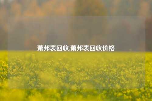 萧邦表回收,萧邦表回收价格-第1张图片-华粤回收