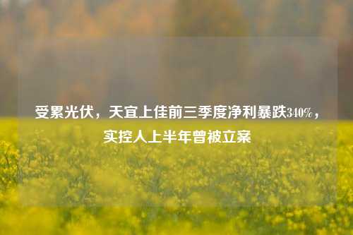 受累光伏，天宜上佳前三季度净利暴跌340%，实控人上半年曾被立案-第1张图片-华粤回收