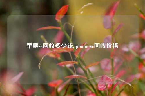 苹果se回收多少钱,iphone se回收价格-第1张图片-华粤回收