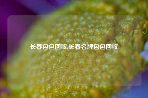 长春包包回收,长春名牌包包回收-第1张图片-华粤回收