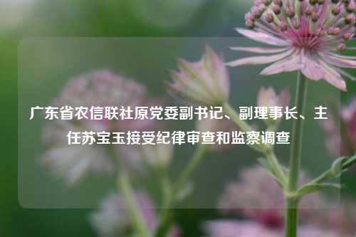 广东省农信联社原党委副书记、副理事长、主任苏宝玉接受纪律审查和监察调查-第1张图片-华粤回收