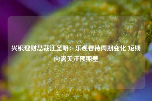 兴银理财总裁汪圣明：乐观看待周期变化 短期内需关注预期差-第1张图片-华粤回收