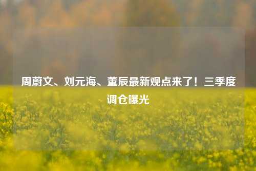 周蔚文、刘元海、董辰最新观点来了！三季度调仓曝光-第1张图片-华粤回收