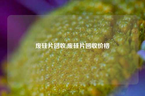 废硅片回收,废硅片回收价格-第1张图片-华粤回收