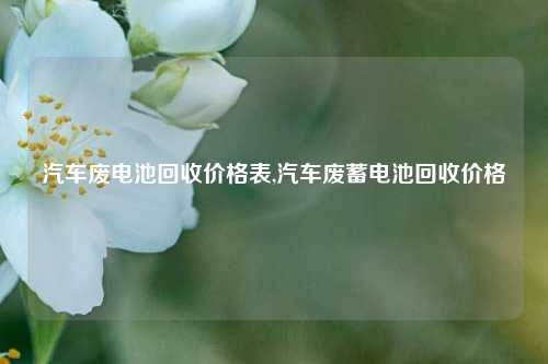 汽车废电池回收价格表,汽车废蓄电池回收价格-第1张图片-华粤回收