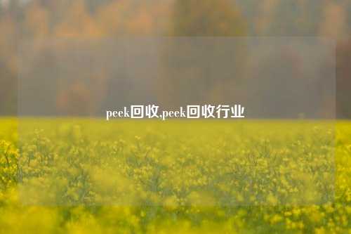 peek回收,peek回收行业-第1张图片-华粤回收